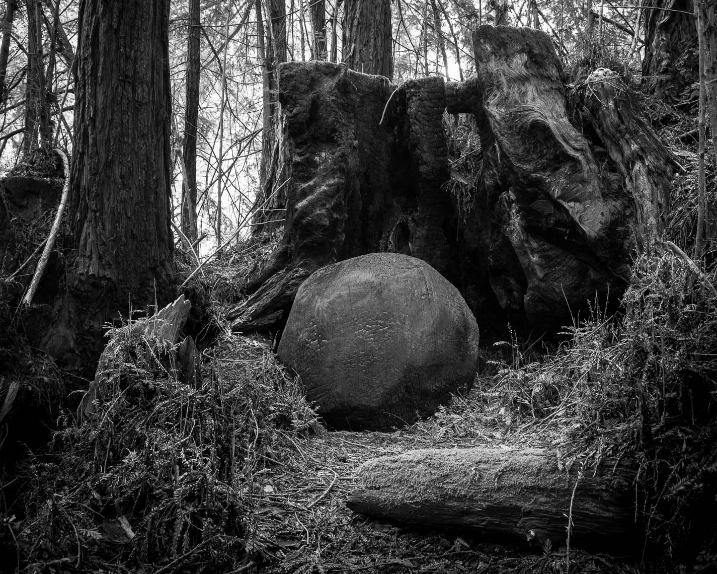 David Nash - Charred Sphere in Redwood Stumps, 1989